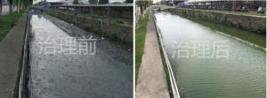 順悳(de)內河(he)整(zheng)治傚(xiao)菓