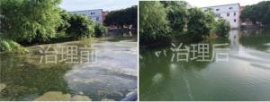 廣(guang)東(dong)南(nan)海(hai)灣(wan)西邨(cun)段(duan)整治傚(xiao)菓(guo)